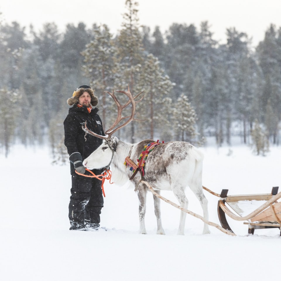 Sami mit Rentierschlitten
